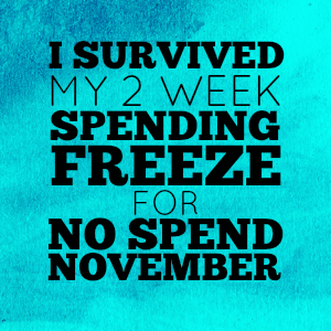 No Spend November: How I survived my 2 week Spending Freeze!