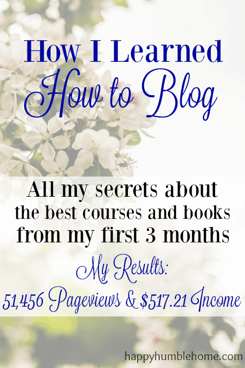 How I learned how to Blog during my first 3 Months Blogging- 51,456 Pageviews and $517.21 Income - You can do it too!