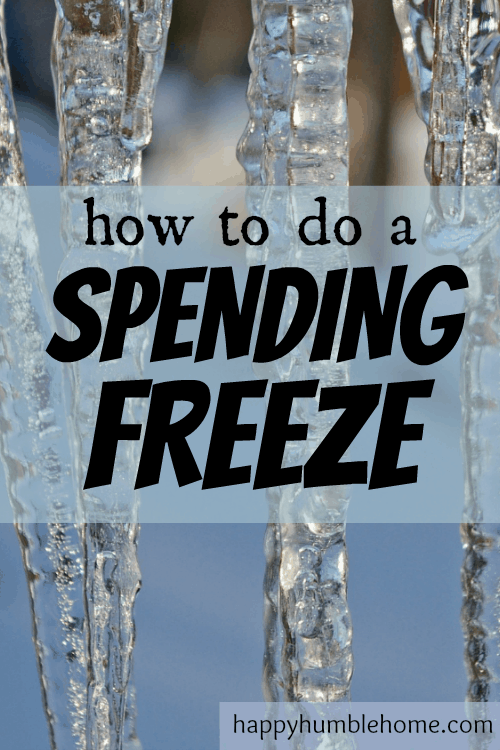 How to do a Spending Freeze - Everything you need to know to save money fast! I did this and I saved $200 in 10 days! 