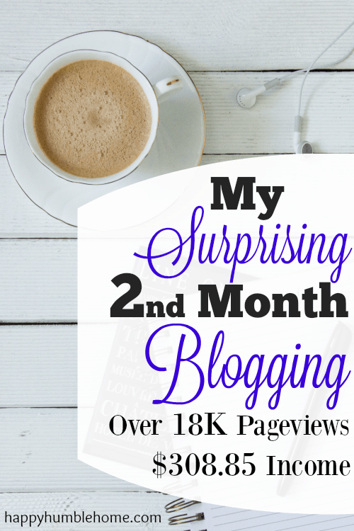 My Surprising Second Month Blogging - How I got Over 18K Pageviews and Over $300 Income in my 2nd month blogging!