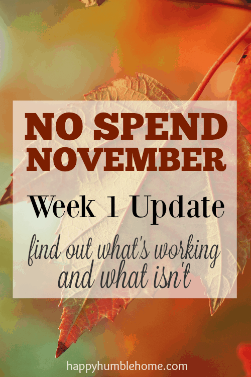 No Spend November Week 1 Update: what's working and what isn't -- This is such a great idea to get money saved up for the holidays! I love these ideas! I'm saving so much money by doing this!! You have to try it!