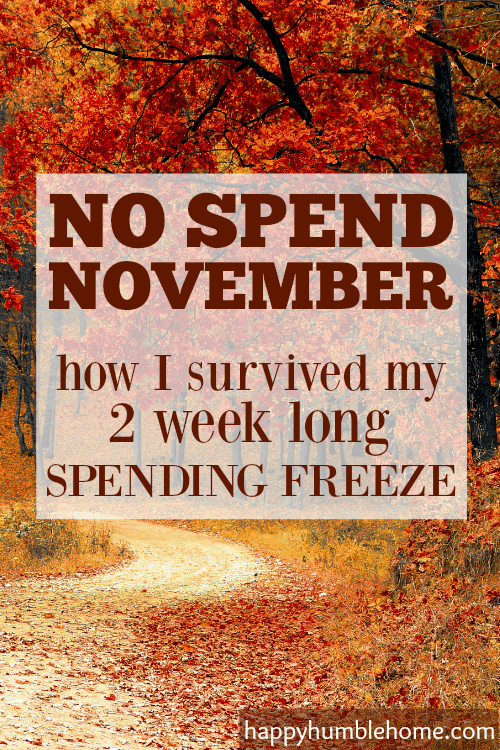 No Spend November: How I survived my 2 week long spending freeze. Wow! I saved SO MUCH MONEY by doing this! This post explains how to make it work for you. Must Read!
