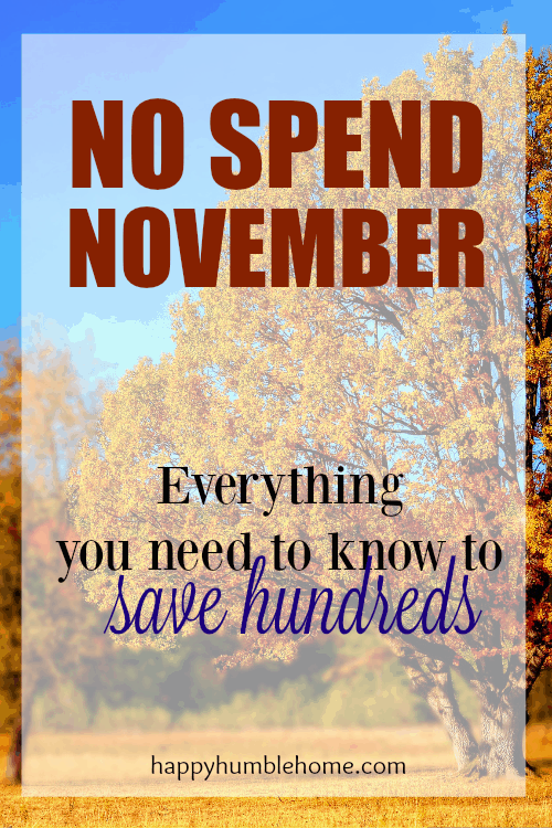 No Spend November- Everything you need to know to save hundreds! I saved so much money and now it will be so much easier to pay for Christmas this year! Must Read!!
