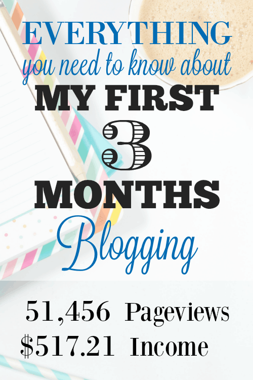 Everything you need to know about my First 3 Months Blogging - 51,456 Pageviews and $517 Income!! You can do it too!
