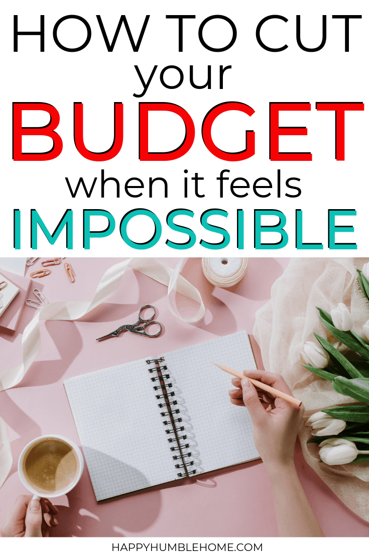 How to Cut Your Budget when it feels Impossible
